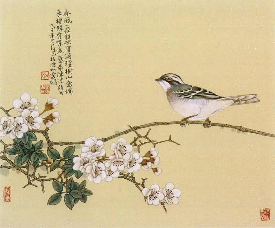 国画艺术田云鹏工笔花鸟画欣赏