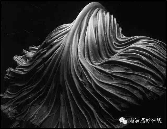 【推荐】摄影大师韦斯顿的10张经典作品