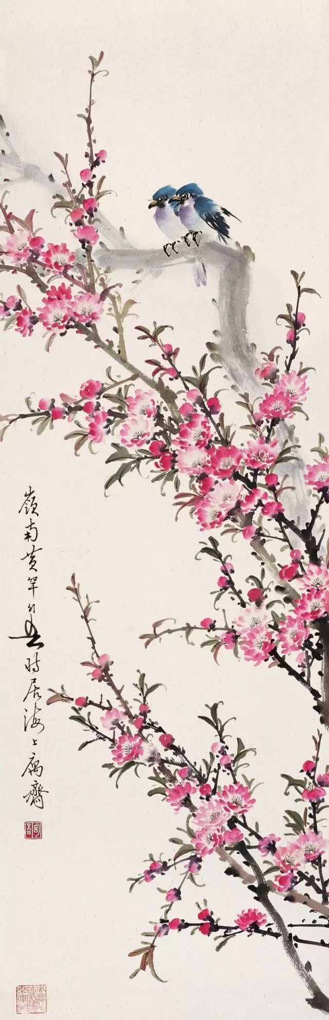 花鸟画100幅大赏,清新,去除俗气!