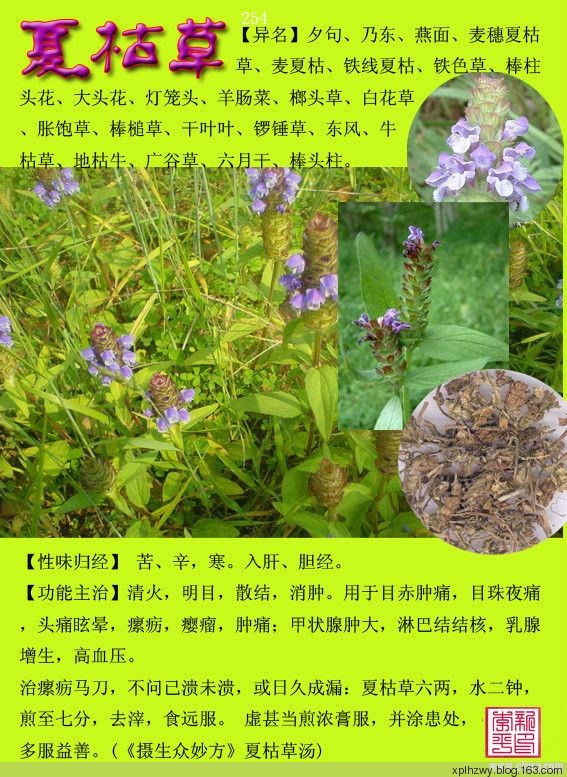 转载常用中草药300种图谱二十六