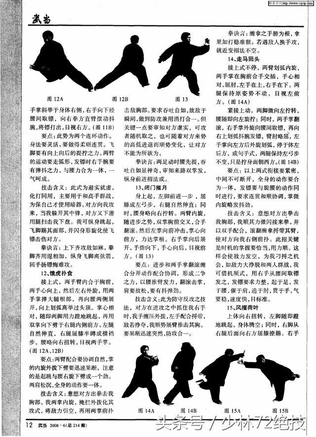 武当飞剑术镖拳中