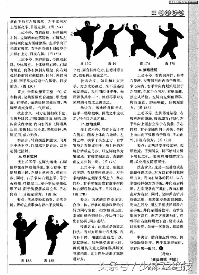 武当飞剑术镖拳中