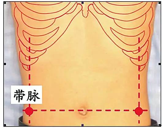 绽放生命的密码背诊