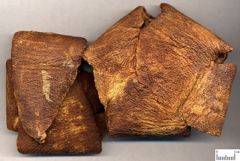 中药图片化痰止咳平喘药2