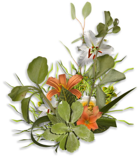 png抠图音画制作用透明花元素