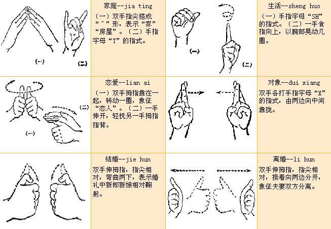 -----------排球裁判手勢