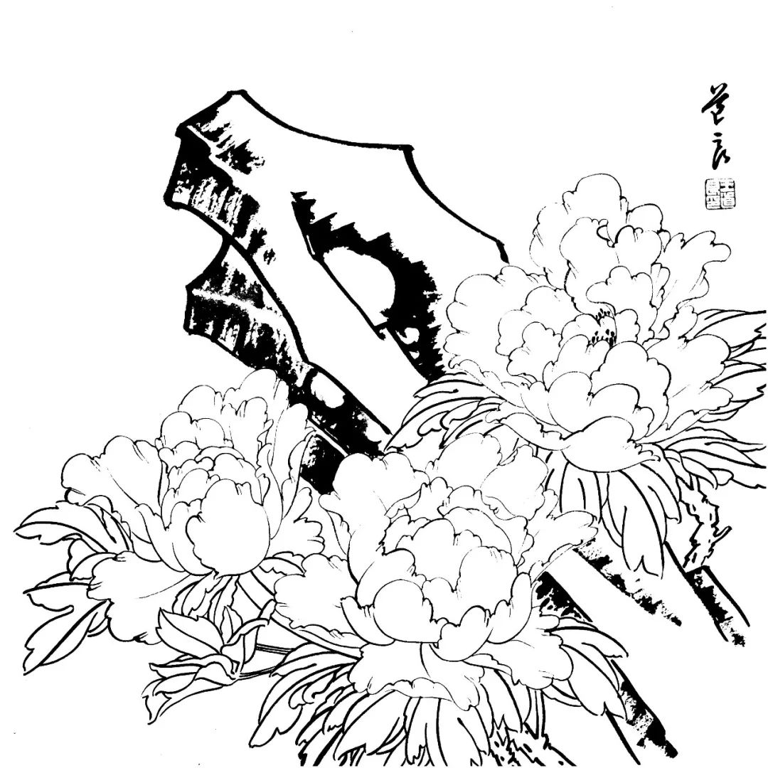 有这些还愁画不好国画花鸟白描素材大全