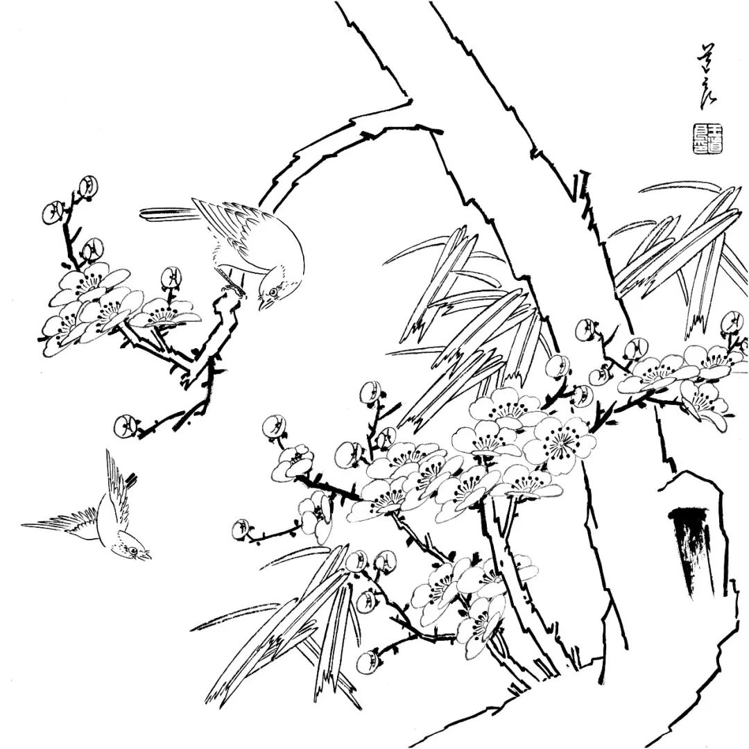 有这些还愁画不好国画花鸟白描素材大全