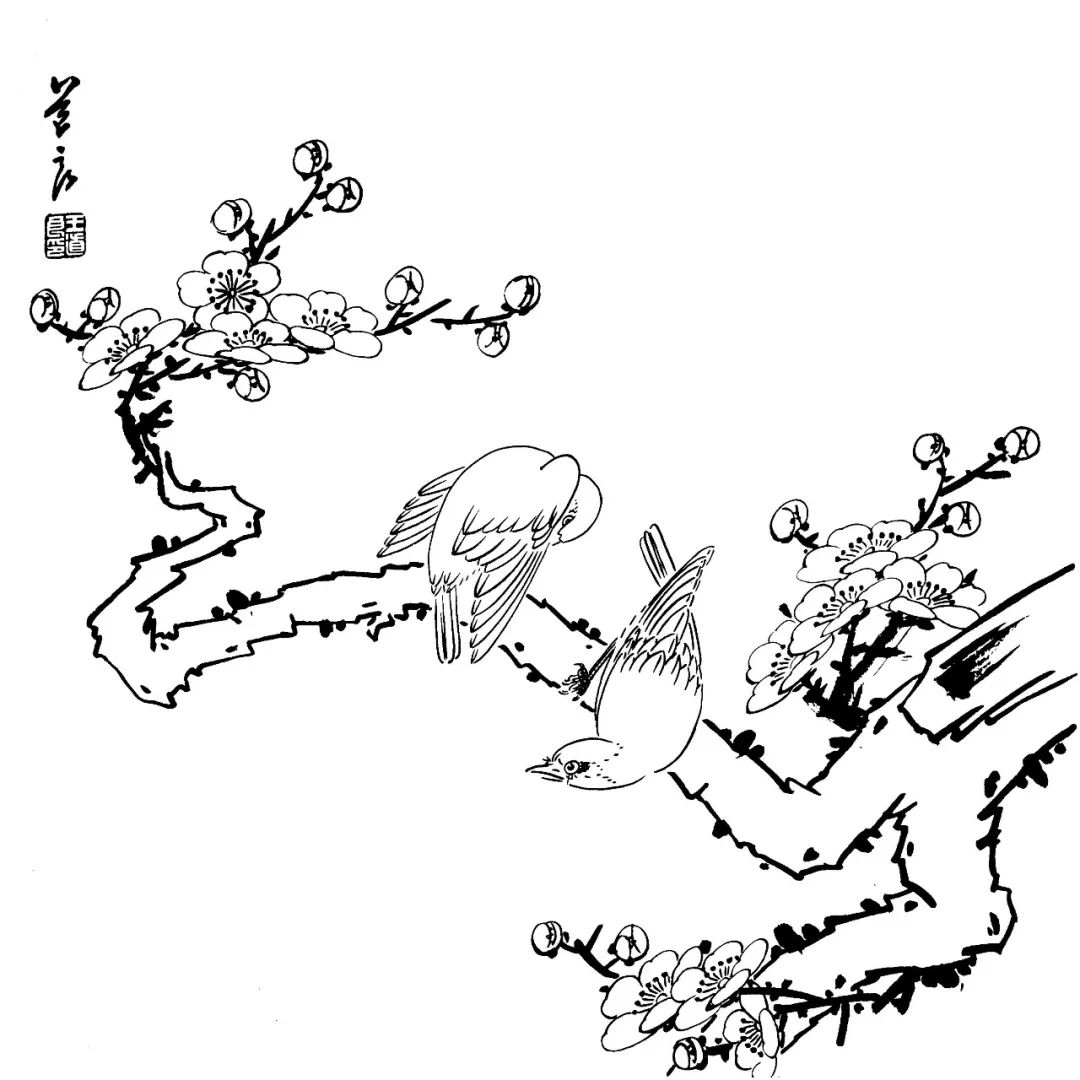 有这些还愁画不好国画花鸟白描素材大全