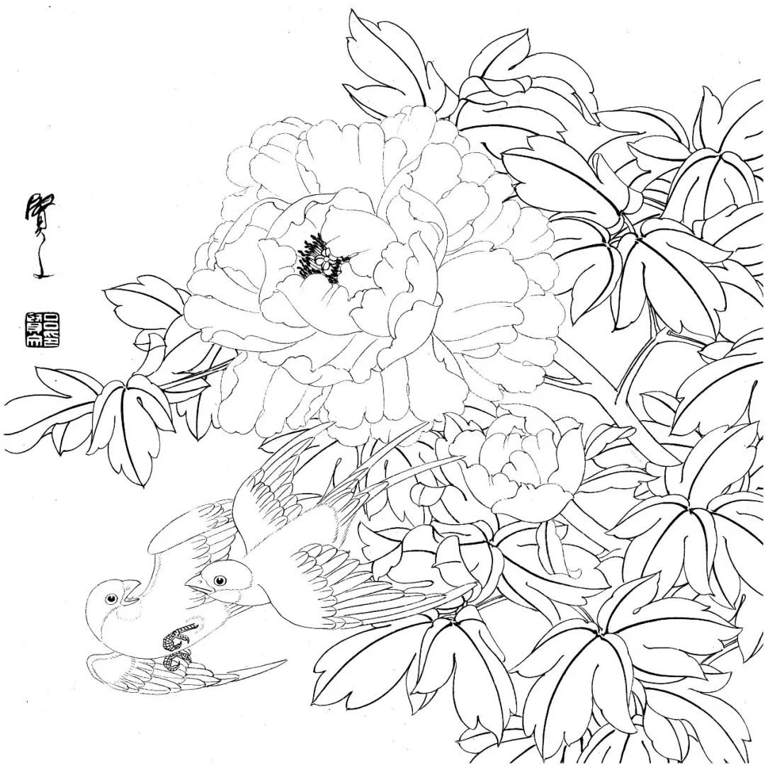 有这些还愁画不好国画花鸟白描素材大全