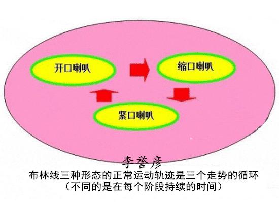 喇叭口形态图解图片