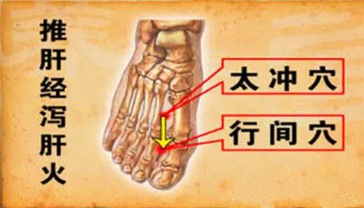 如果你要把鼻血治好的话,你肯定是要把肝气疏泄一下, 太冲和行间往下