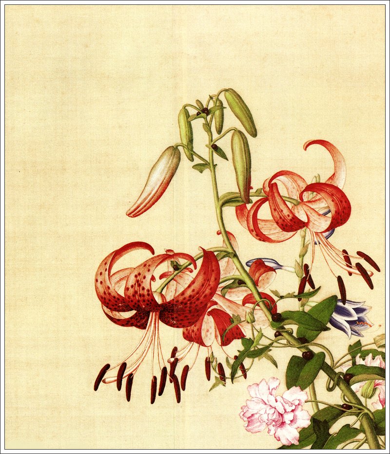 清代宫廷画师郎世宁工笔花鸟画欣赏