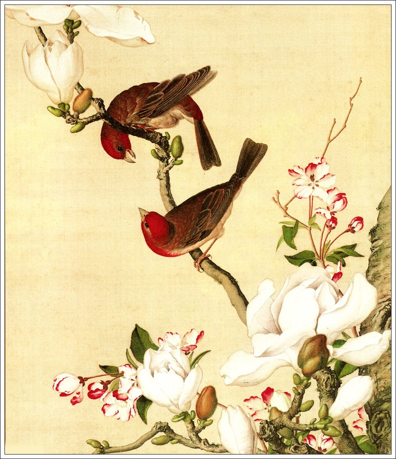 清代宫廷画师郎世宁工笔花鸟画欣赏