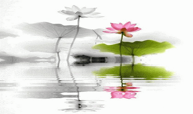 675_400gif 动态图 动图