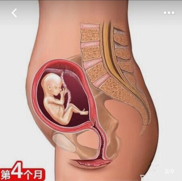孕妇变化图片10个月图片