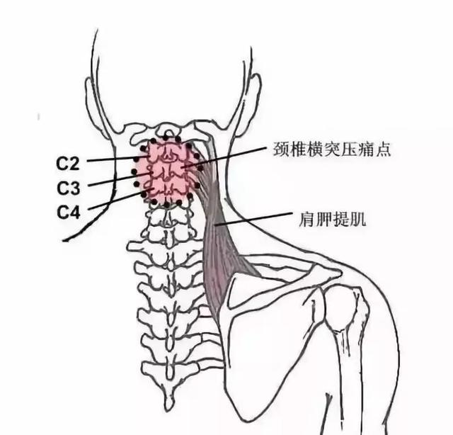 解密筋骨训练