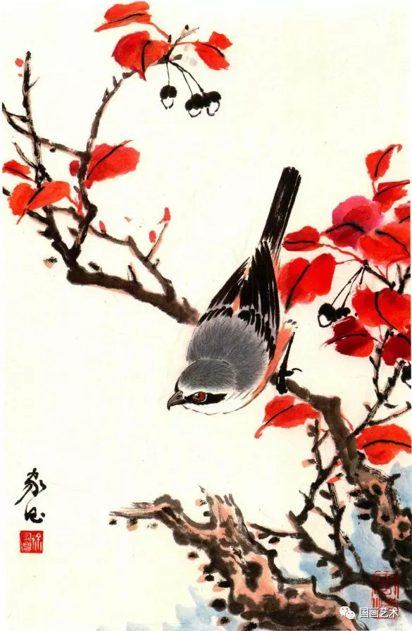 写意花鸟参考徐家昌百鸟百花画集2