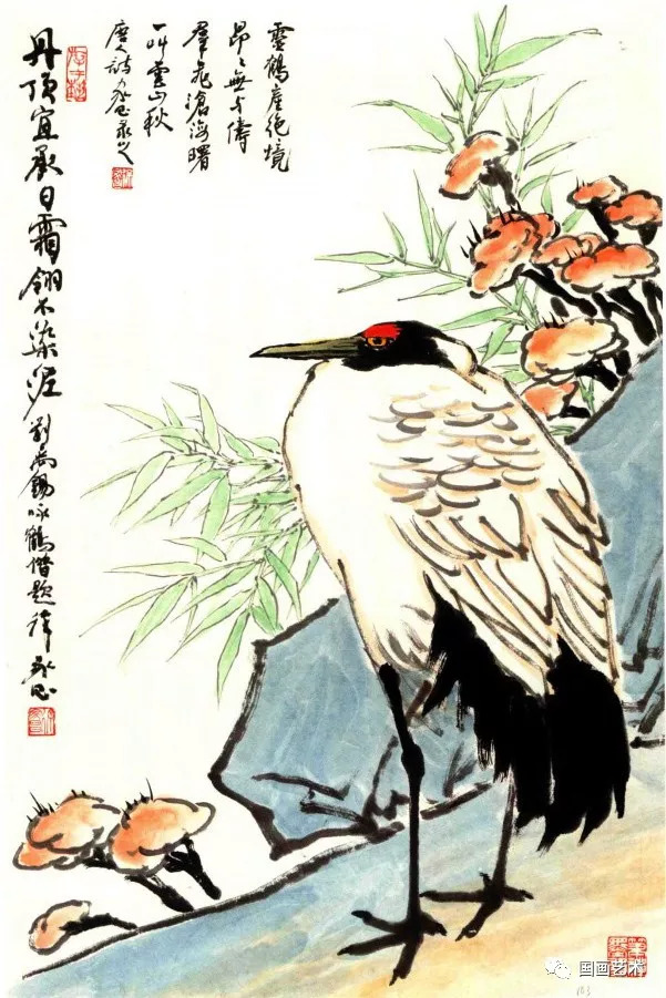 写意花鸟参考徐家昌百鸟百花画集1