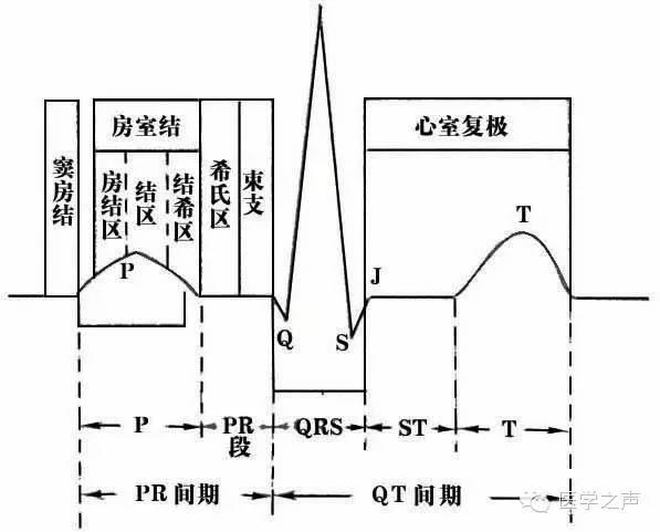 這麼教你看心電圖還有什麼理由看不懂