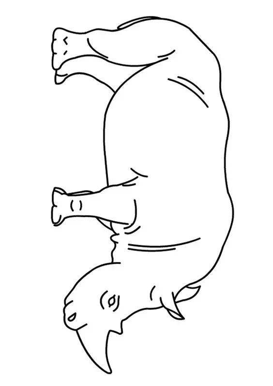 动物简笔画高清线稿适合儿童画的简笔画