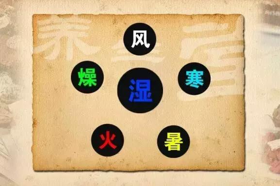 在致病的风,寒,暑,湿,燥,火这"六yin邪气"中,中医最怕 湿邪.