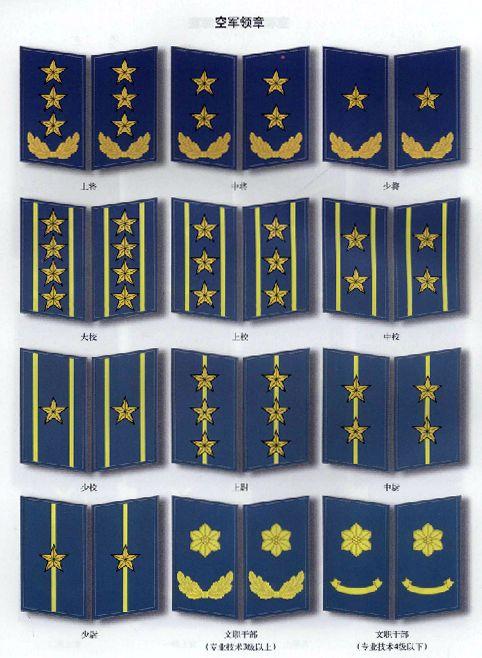空军胸标(胸章)中国人民解放军胸章空军成立之初到1955年实行军衔制时