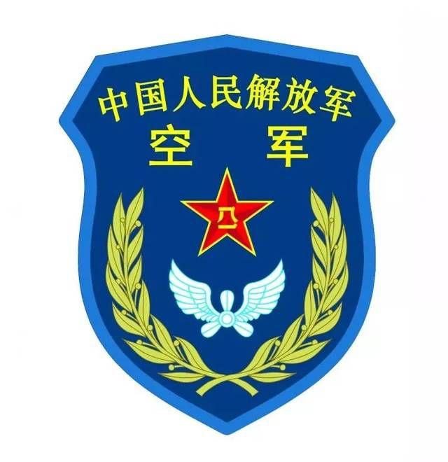 空军学员领徽图片