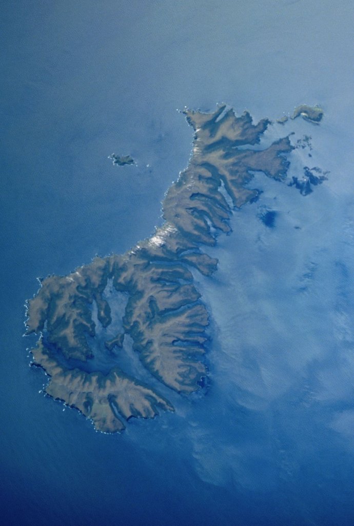 新西兰的奥克兰群岛