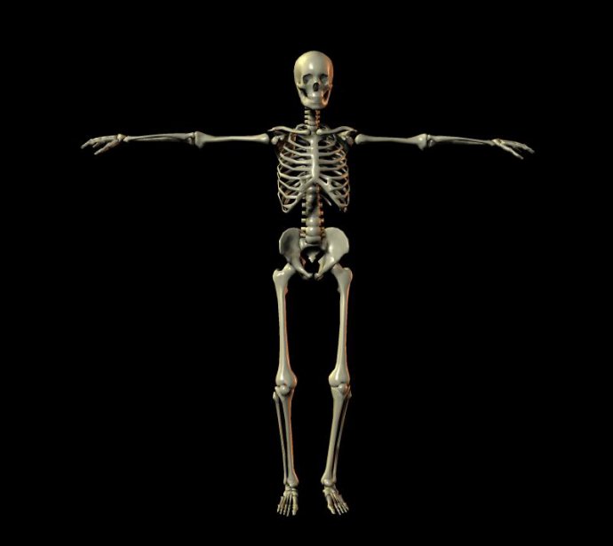 转载内观骨相渐修白骨观图