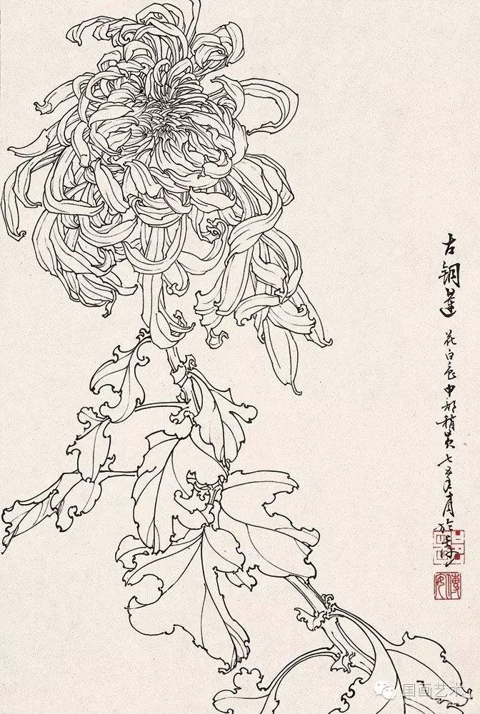 邹传安 白描花卉图片