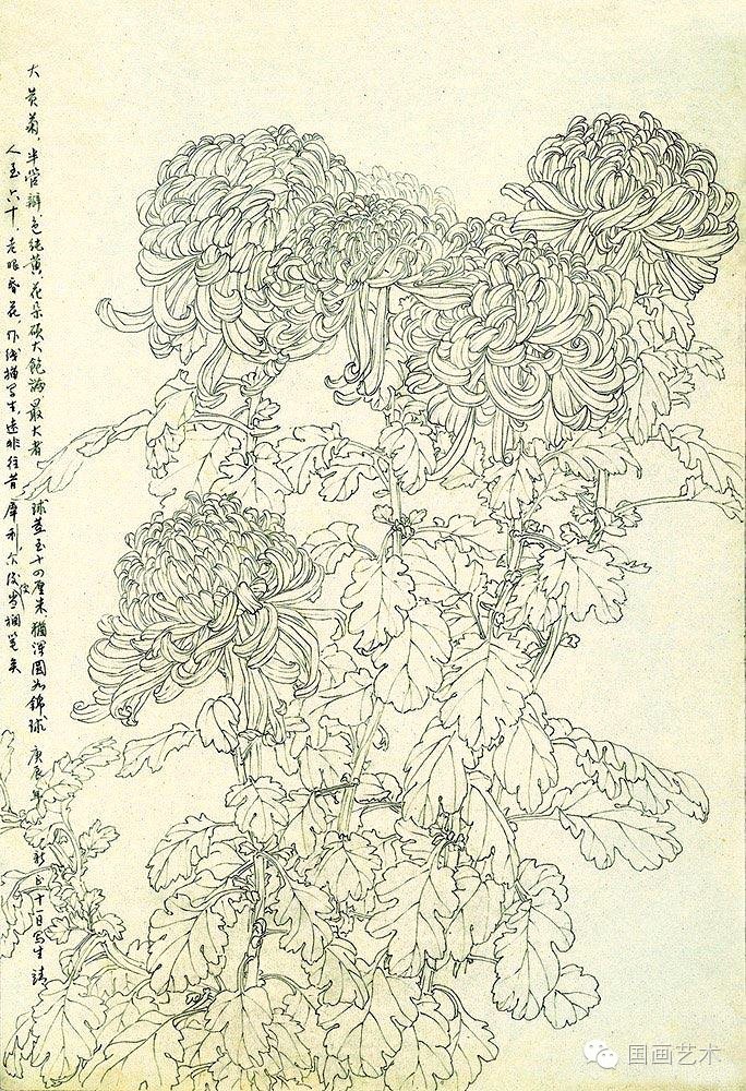 邹传安 白描花卉图片