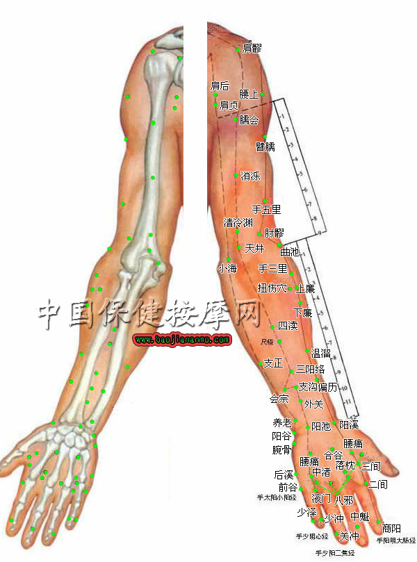 医学上指人体上可以针灸的部位
