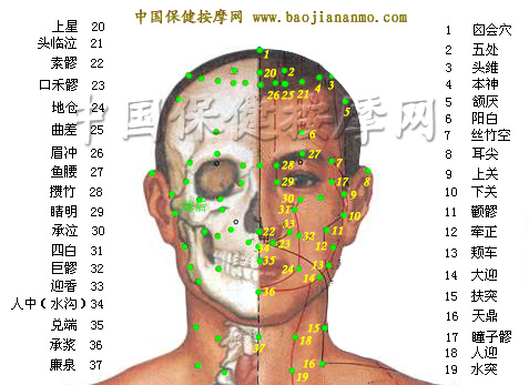 圖文特清晰版人體穴位圖帶有尺碼