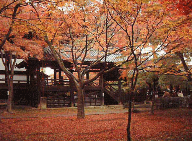 650_477gif 动态图 动图