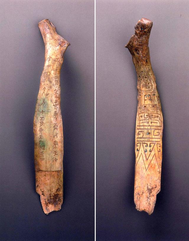 原国博藏着一片珍贵甲骨记录着商王猎到红犀牛专家说没撒谎