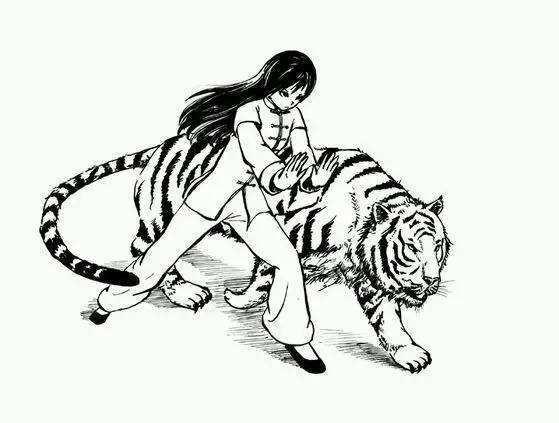 形意拳十二行,十二种动物及动作特点(图片展示)