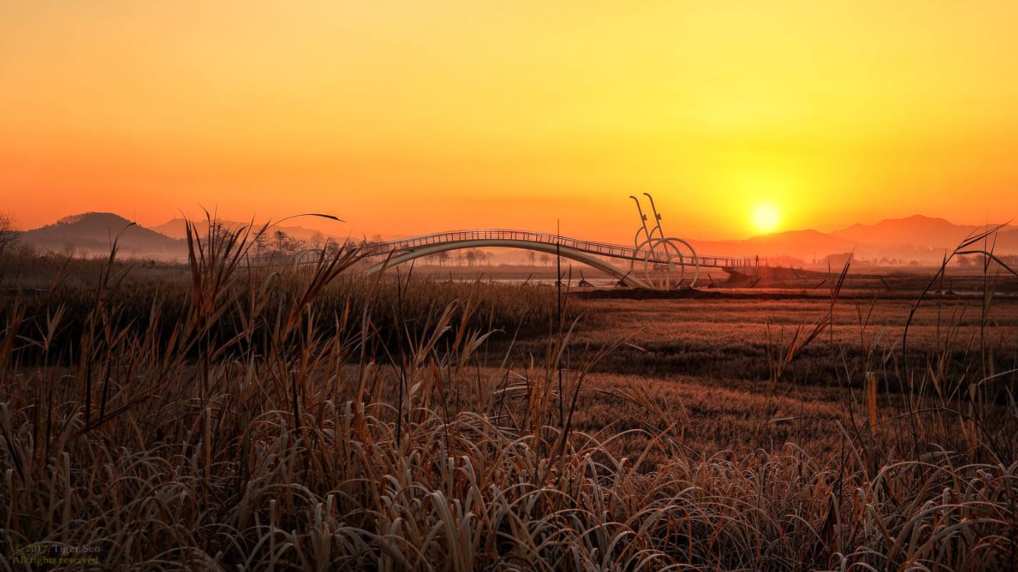 20个瞬间超多技法帮你斩获最后的秋色