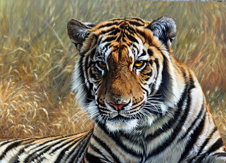 油画世界|英国艾伦·亨特猛兽动物画