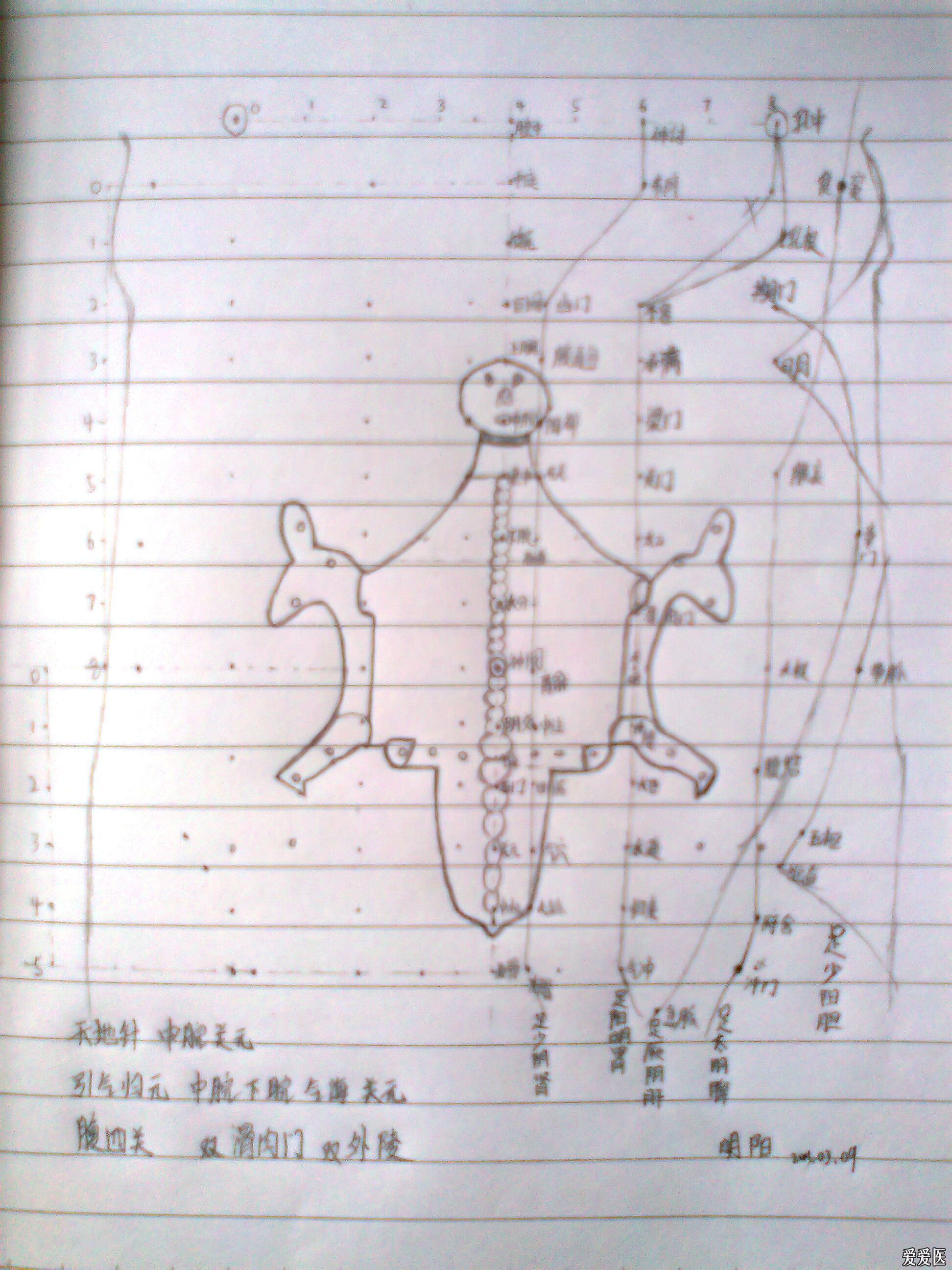 腹针神龟图图片