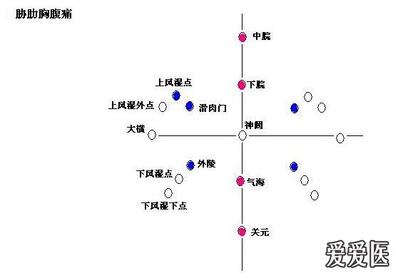 针灸腹针神龟图