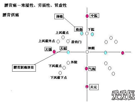 针灸腹针神龟图