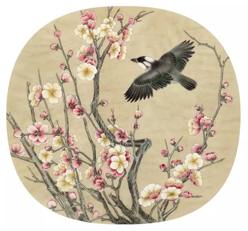 郑玲玲一夜清香步骤图文