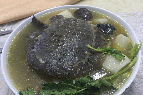 27種甲魚做法,營養滋補美味