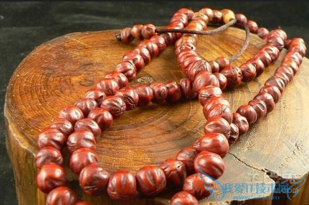 (看,还有人用柏树籽做成佛珠放在手里把玩!