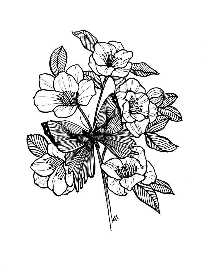 顶级线描花卉练完这一篇你的手从此再也不是爪