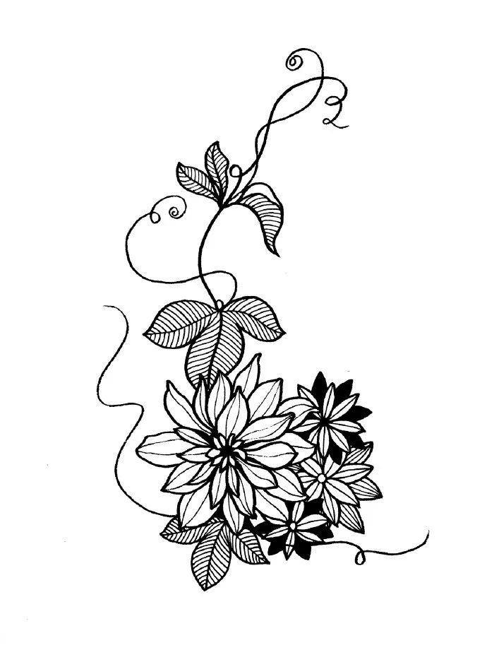 顶级线描花卉练完这一篇你的手从此再也不是爪