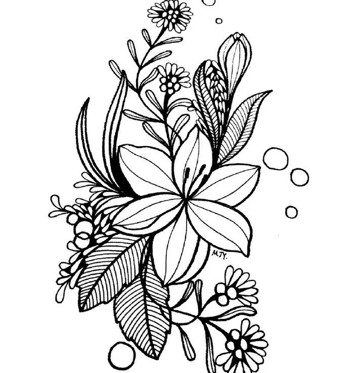 顶级线描花卉,练完这一篇,你的手从此再也不是爪