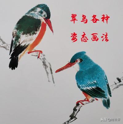 寫意國畫文鳥,相思鳥,八哥,喜鵲,翠鳥姿態的基本畫法