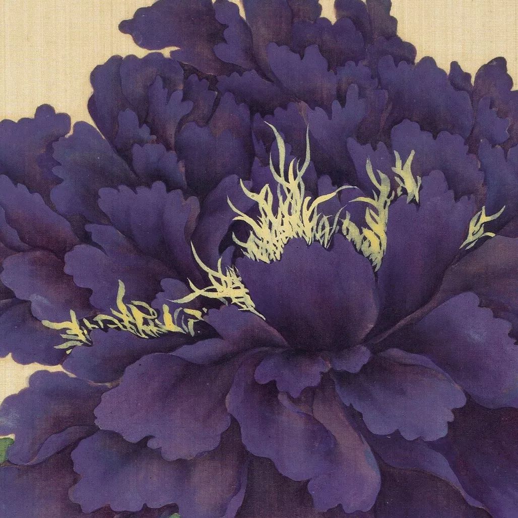 蒋廷锡工笔牡丹的一百种打开方式够美够艳够妖娆